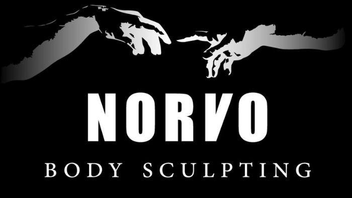 Norvo Boy Sculpting Logo